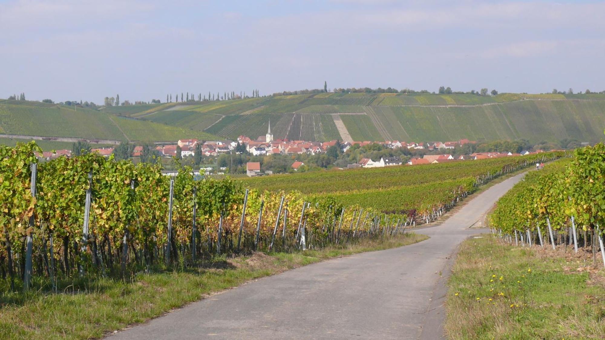 Weingut Herbert Kram Нордхайм Экстерьер фото